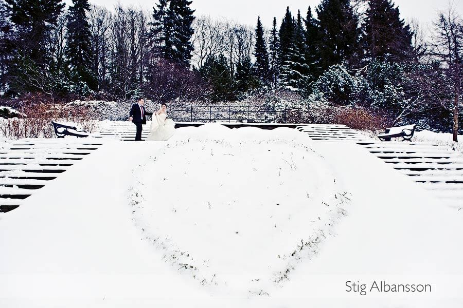 Vinterbröllop i Botaniska Trädgården