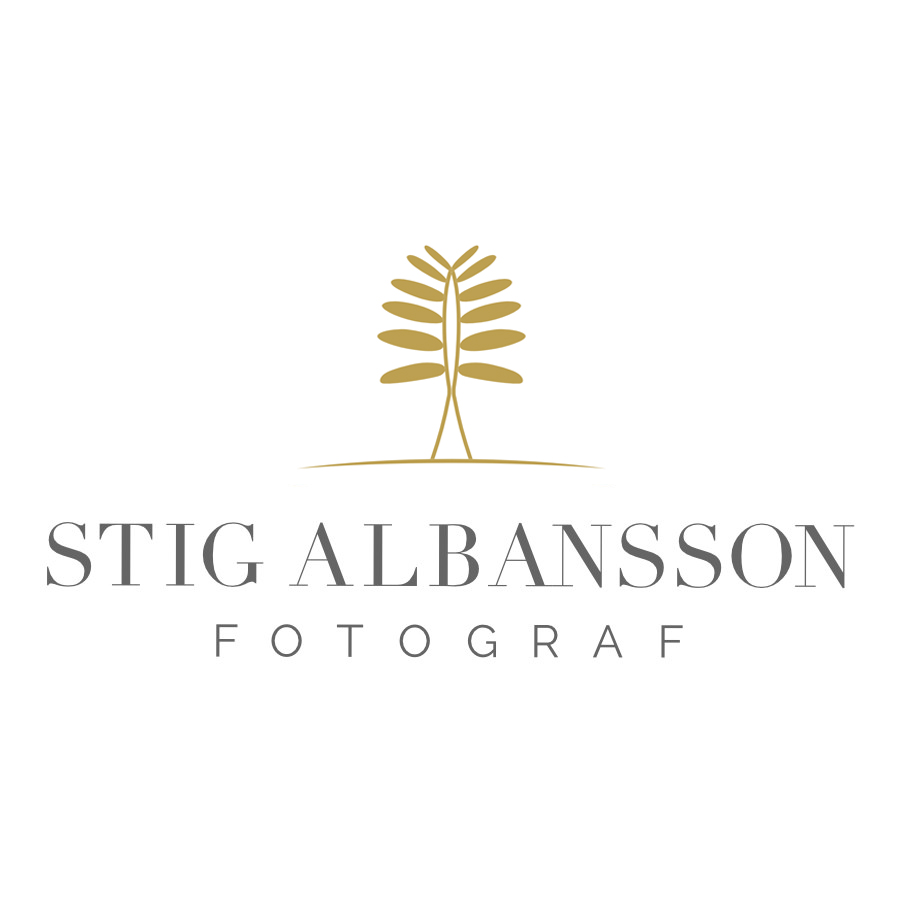 Fotograf Göteborg | Stig Albansson | Blogg